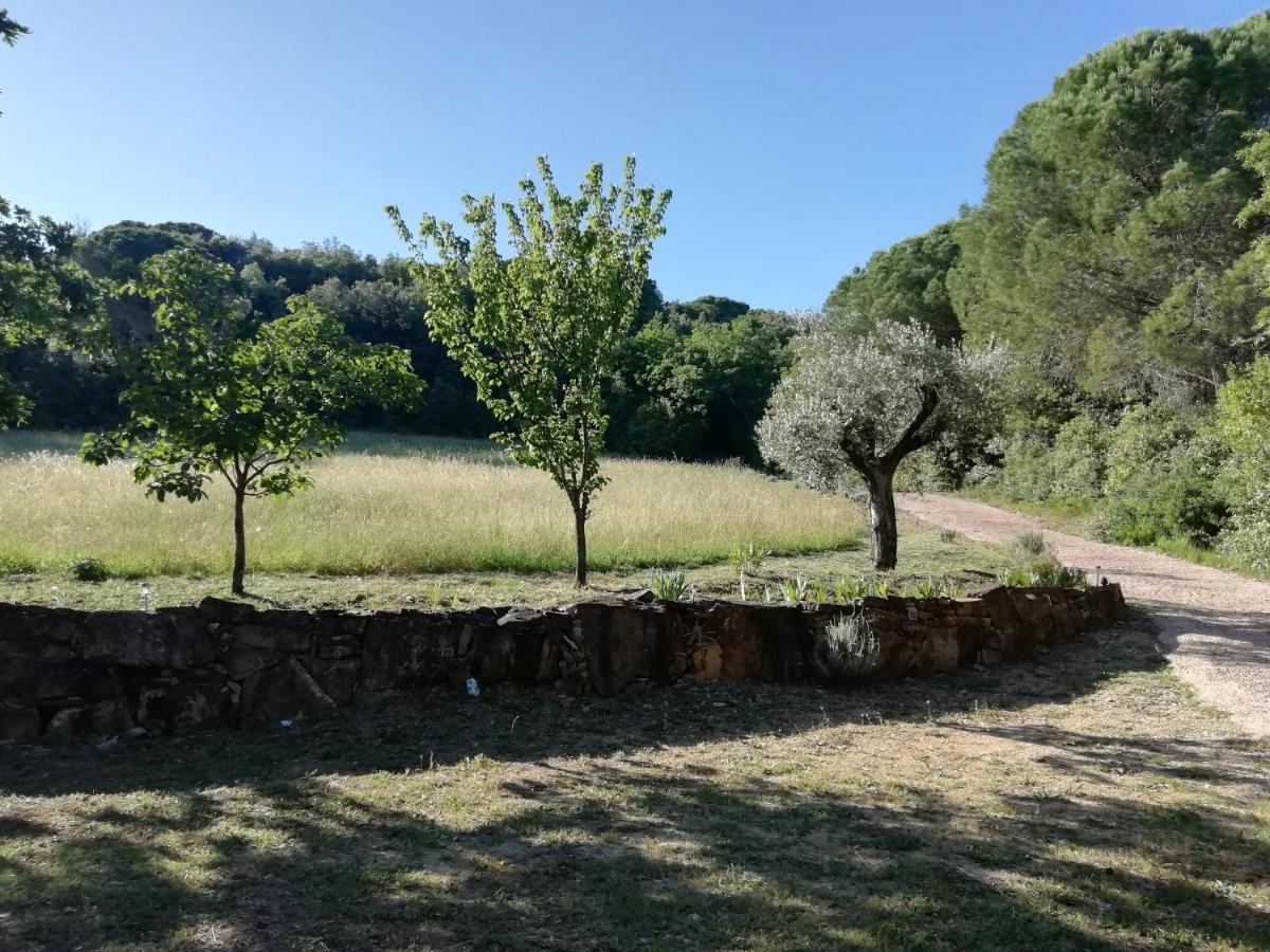 Villa Casa Jacaranda Monteverdi Marittimo Exterior foto